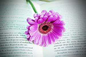 libro con fiore viola